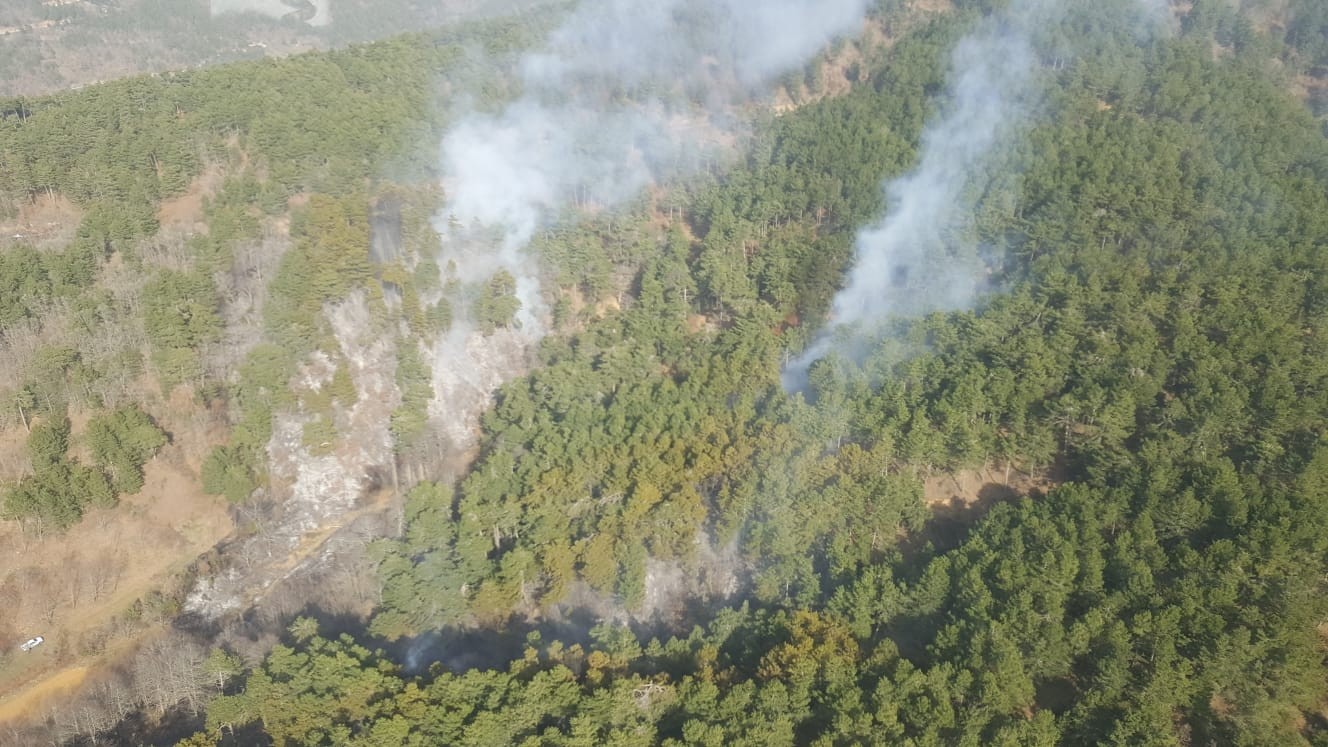 İzmir’de ormanlık alandaki yangın kontrol altında