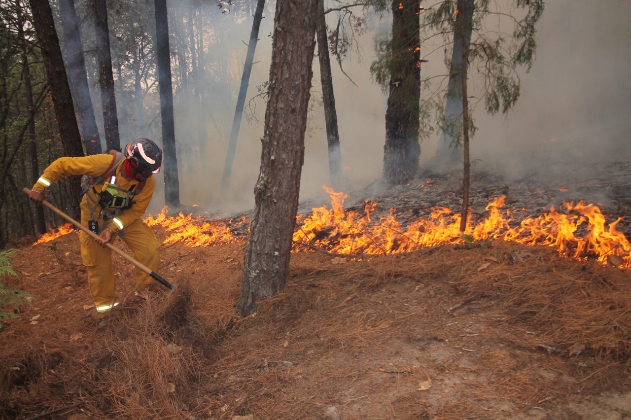 Meksika’da son 24 saatte 39 orman yangını